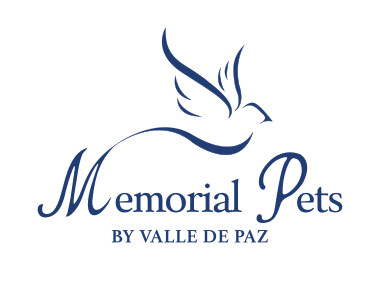 Logo Valle de Paz